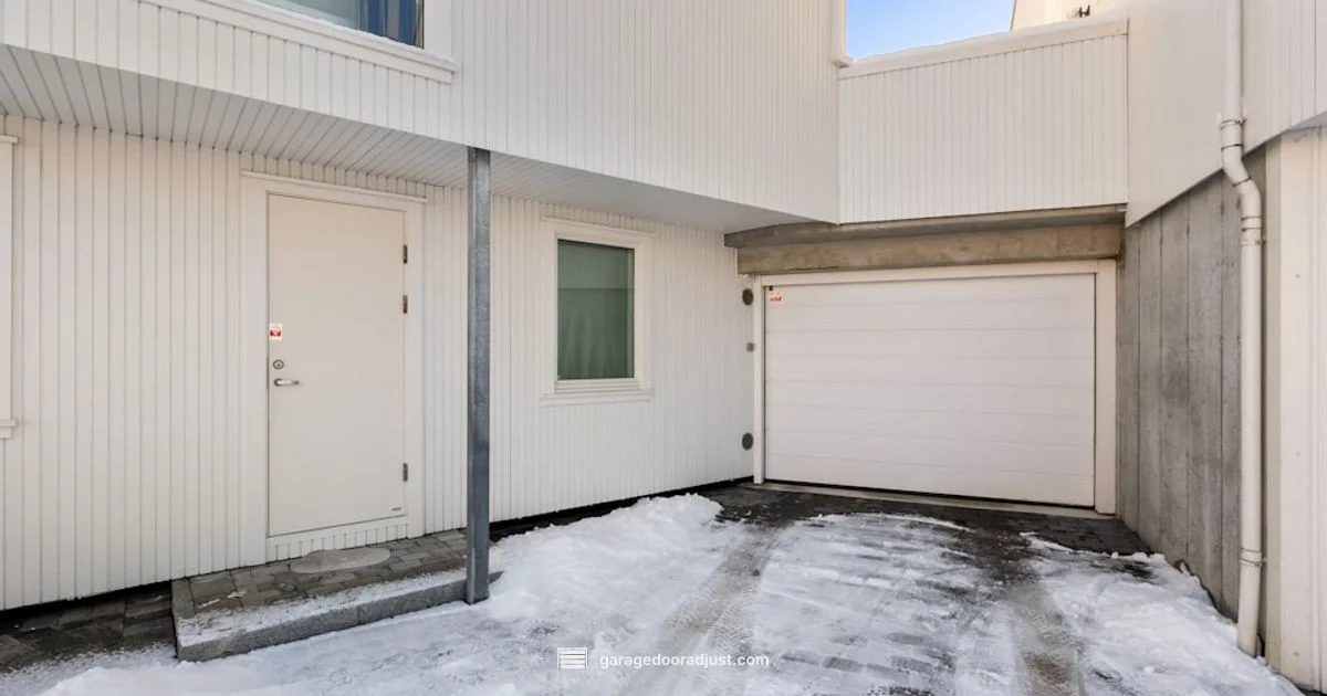 Frozen Door Fix - GarageDoorAdjust