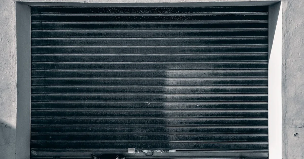 Quiet Rollers Guide - GarageDoorAdjust