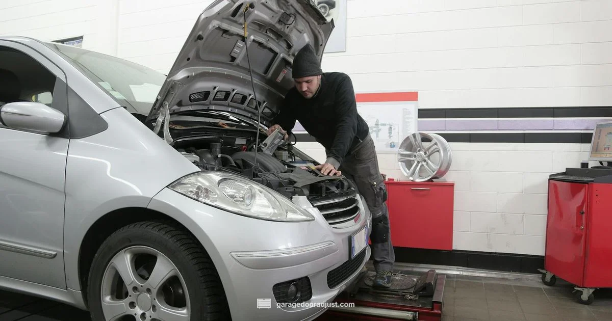 Garage Door Lubrication Guide - GarageDoorAdjust