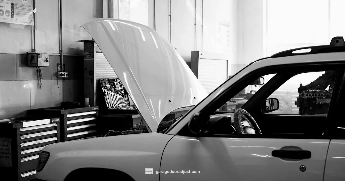 LiftMaster Troubleshooting - GarageDoorAdjust