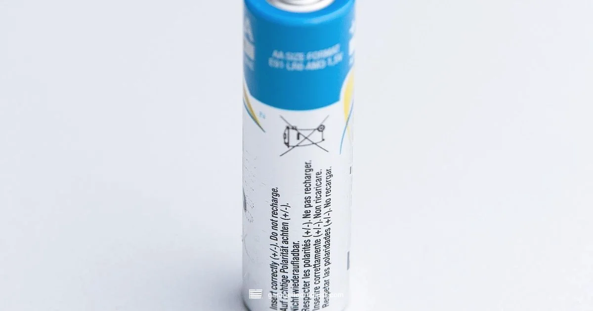 Battery Replacement Battery Replacement - GarageDoorAdjust