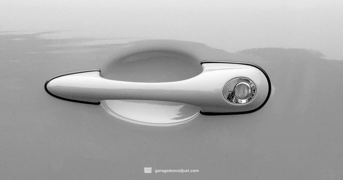Car-Linked Opener Setup - GarageDoorAdjust