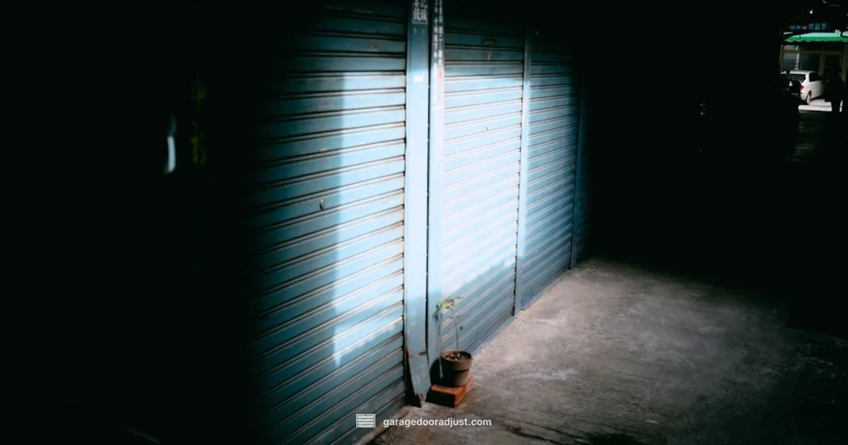 Swing Out Garage Doors - GarageDoorAdjust