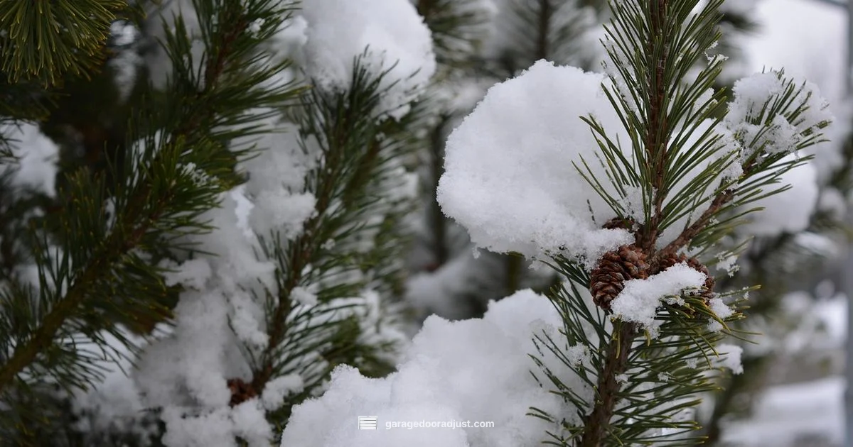 St Paul Repair Guide - GarageDoorAdjust