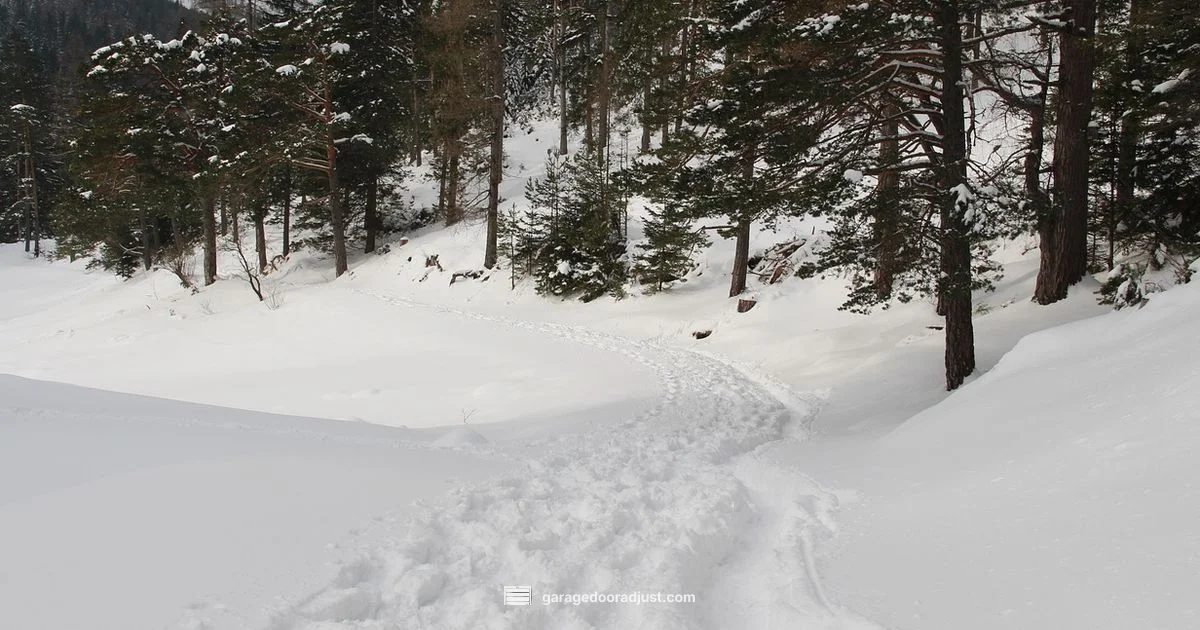 Garage Door Fix Guide - GarageDoorAdjust