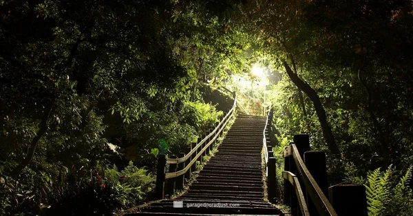 Program Your Garage Remote - GarageDoorAdjust