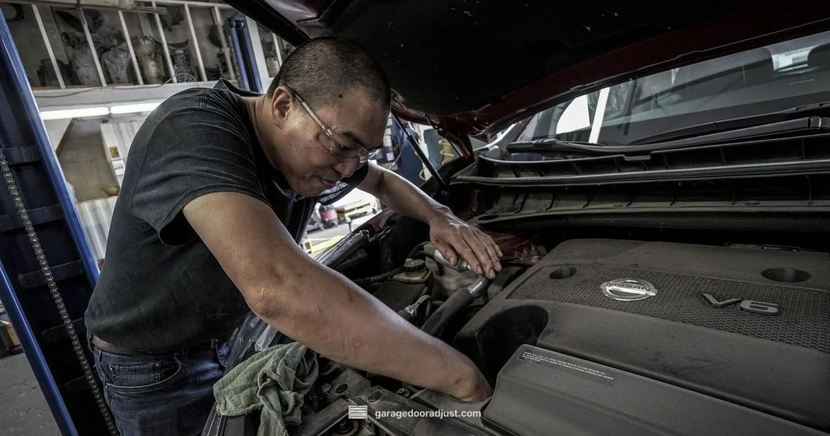 Garage Door Fix - GarageDoorAdjust