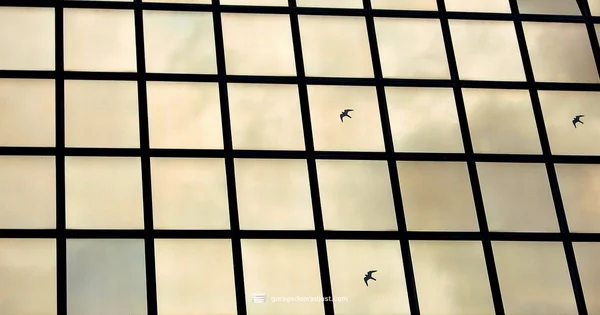 Replace Garage Door Glass - GarageDoorAdjust